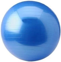 Focus Fitness - Yoga Bal - Fitness Bal - 75 Cm